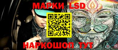 спиды Бийск