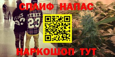 спиды Бийск