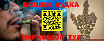 спиды Бийск