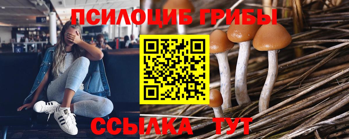 Псилоцибиновые грибы Psilocybine cubensis  Вход с VPN  Киселёвск 